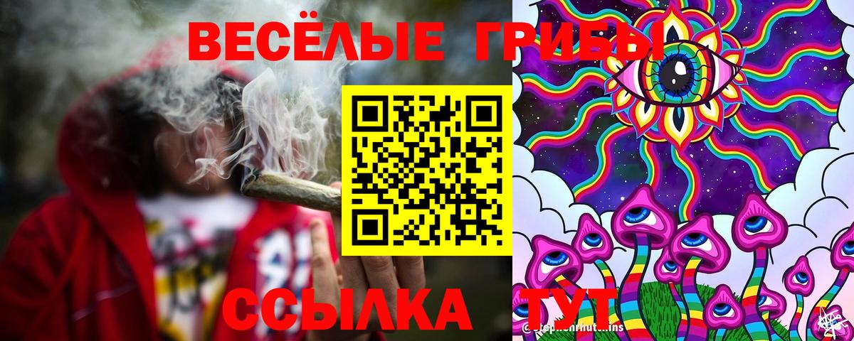 Печора  Псилоцибиновые грибы Magic Shrooms  Вход с VPN  Псилоцибиновые грибы Psilocybine cubensis 